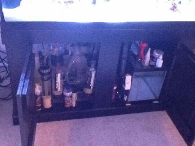 ImageUploadedByTapatalk HD1350867250.581530.jpg