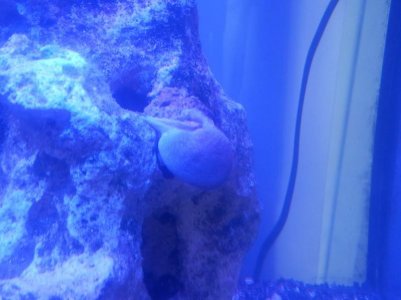 20121028_135114.jpg