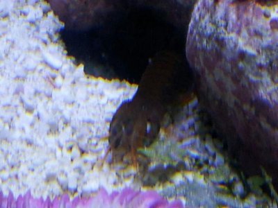 20121015_201255_2.jpg