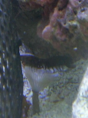 20121020_172346.jpg