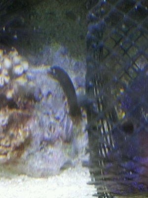 20121020_172410.jpg