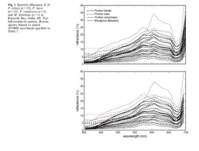 relflectance spectra-2.jpg