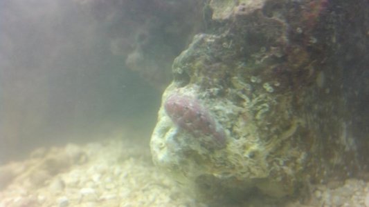 2012-10-24_18-15-28_454.jpg