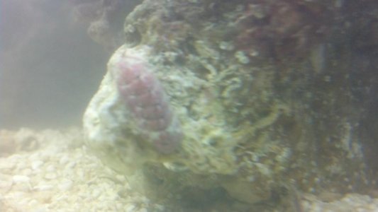 2012-10-24_18-16-05_93.jpg