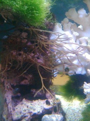 IMG_20121016_162239.jpg