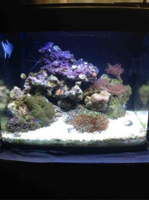 ImageUploadedByTapatalk HD1351795138.091119.jpg