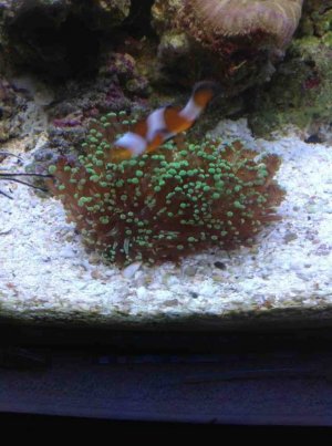 ImageUploadedByTapatalk HD1351795180.659829.jpg