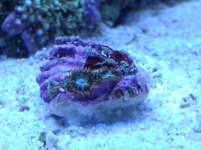 IMG_20121123_231742.jpg