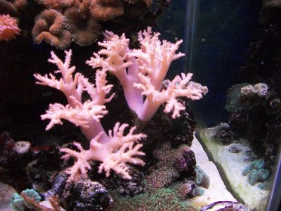 100_4638.jpg