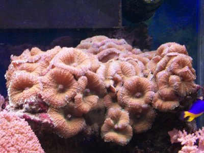 100_4595.jpg