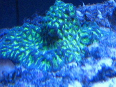 IMG_6261_small.jpg
