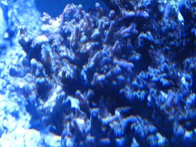 IMG_6268_small.jpg