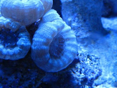 IMG_6264_small.jpg