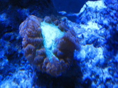 IMG_6267_small.jpg