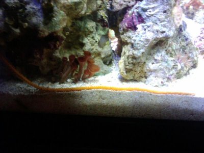 2010-06-05_14_52_11.jpg