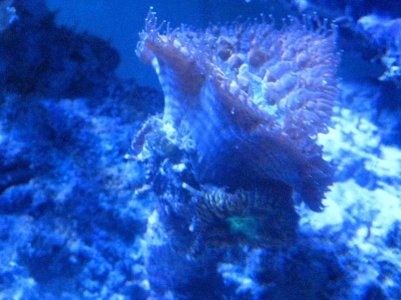 IMG_6271_small.jpg