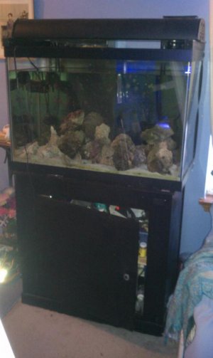 2012-11-04 16.15.47.jpg