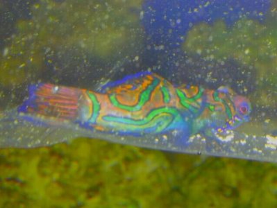 2012-11-04 00.24.38.jpg