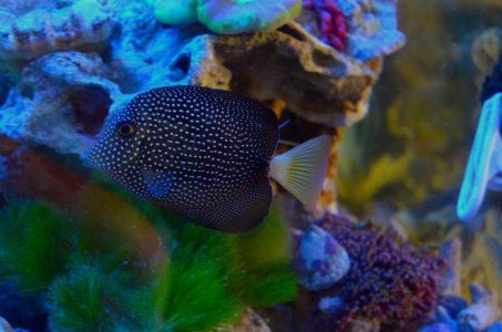 DSC_0110 - Version 2l.jpg