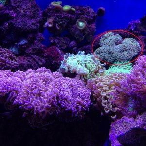photo(5).jpg