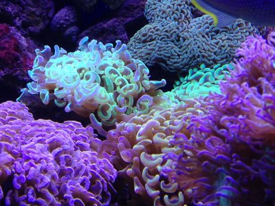 photo(6).jpg