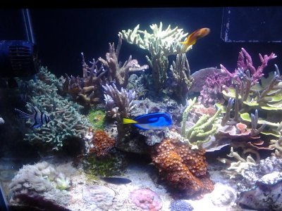 20121106_175051.jpg