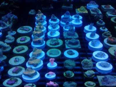 20121106_180715.jpg