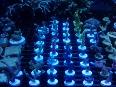 20121106_180707.jpg