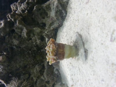 20121128_172355.jpg
