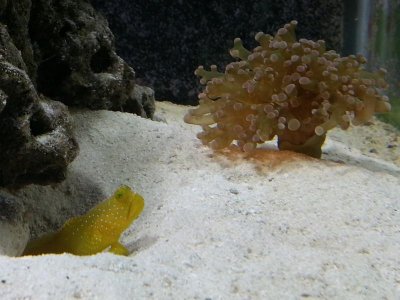 20121125_125651.jpg
