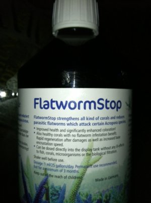 flatstop4.JPG