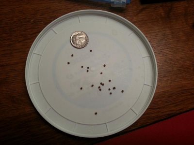 2012-11-09 09.00.43.jpg