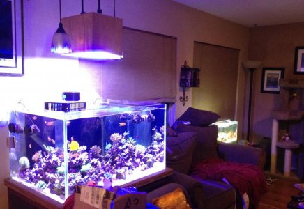 fts.jpg