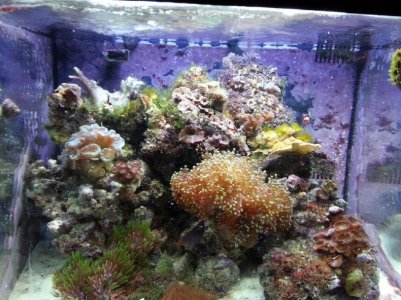 20121129_210649 (1).jpg