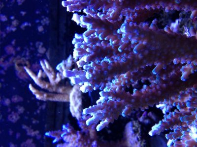 IMG_0512.jpg