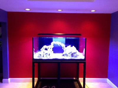 fts.jpg