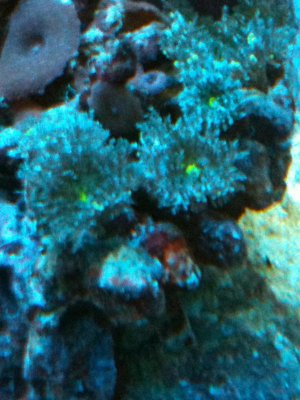 IMG_0045.jpg