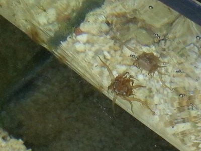 20121201_104226.jpg