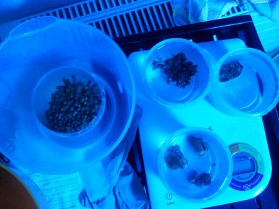 2012-12-01 20.31.45 (1).jpg