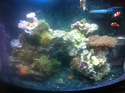 photo (6).jpg