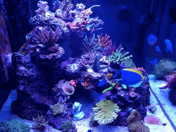 IMG_0333.jpg