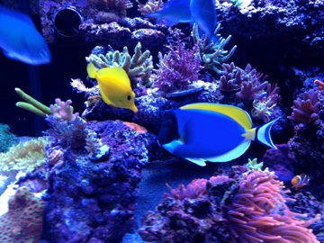 IMG_0301.jpg
