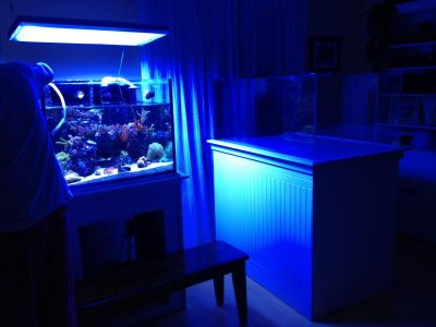 photo-4.jpg