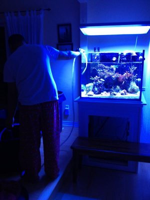 draining tank.jpg