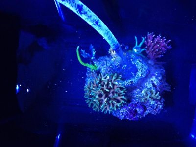 photo-3.jpg