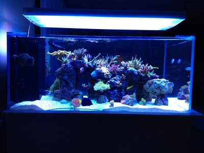 photo-9.jpg