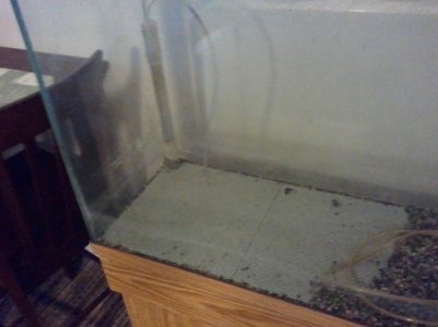 2012-12-02 08.47.32.jpg