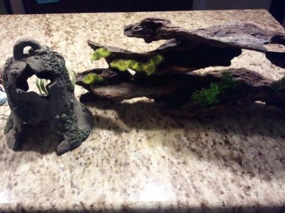 2012-12-02 08.36.50.jpg