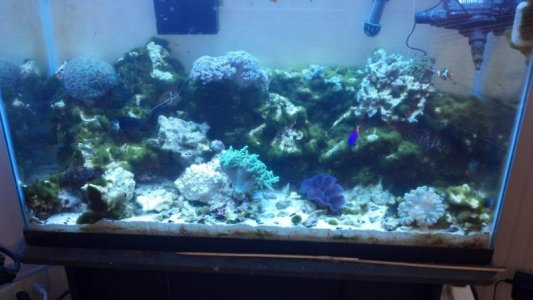 2012-12-01_13-07-09_811(1).jpg