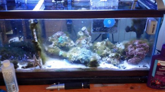 2012-12-01_13-07-15_420.jpg